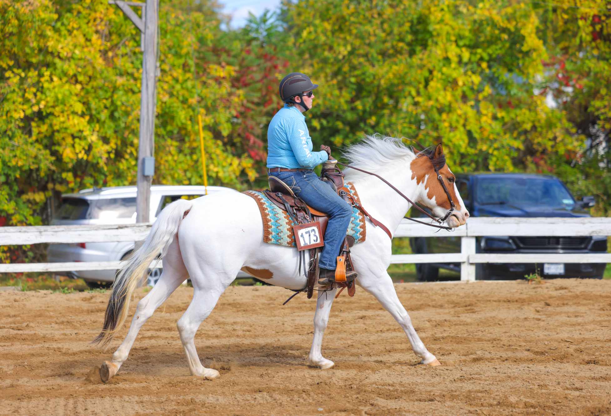 Magnolia Equestrian Center... - Magnolia Equestrian Center