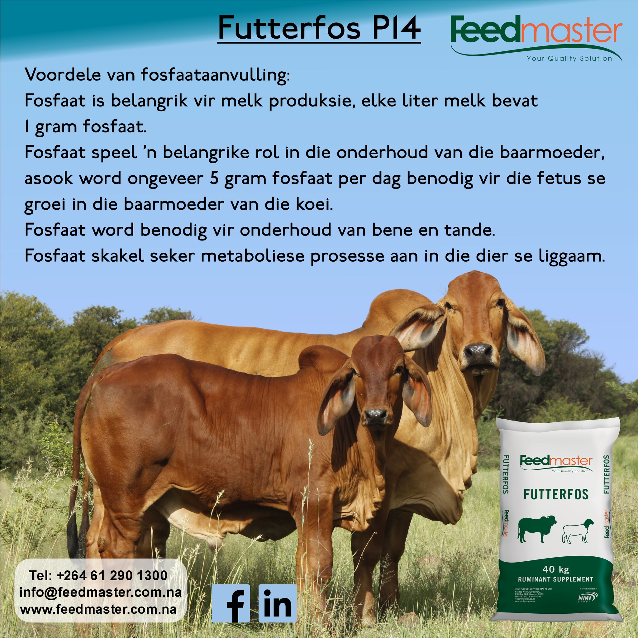 New - AD| Futterfos: The KEY = Phosphorous Supplementation https://www ...