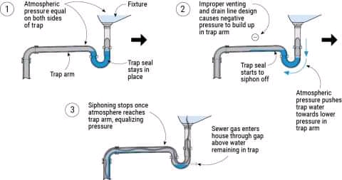 Plumbing - This diagram illustrates the dynamics of trap seal siphoning ...