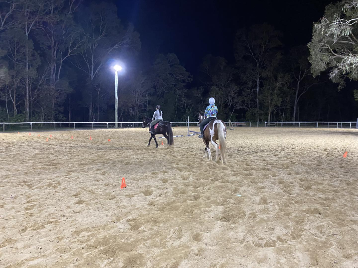 Moonlight Manor Horse... - Moonlight Manor Horse Riding