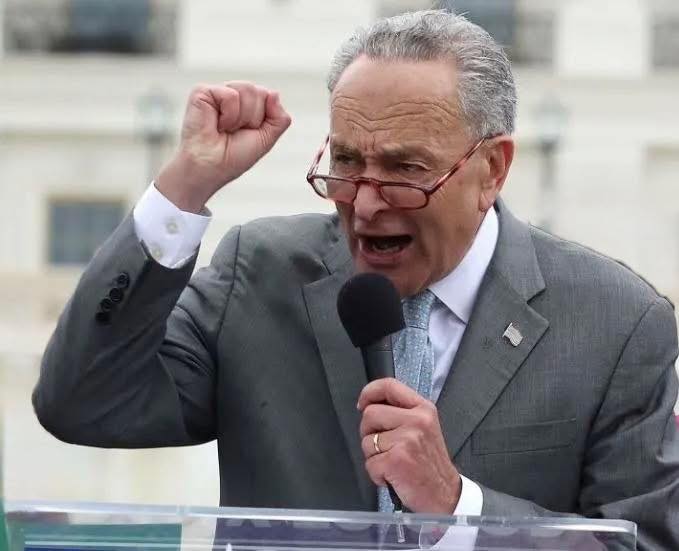 David - Chuck Schumer just accused President Trump of throwing tantrums ...