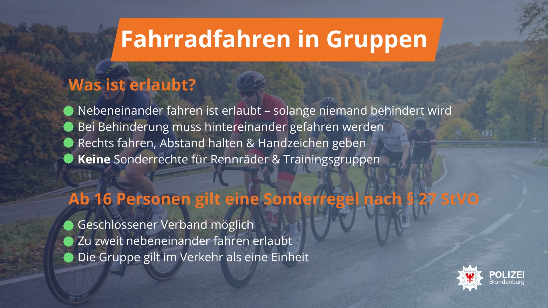 geschenke für männer die gerne fahrrad fahren Lustige Fahrradfahrer ICH WÜRDE LIEBER FAHRRADFAHREN Socken Geschenk für Fahrradliebhaber Socken Weihnachtsgeschenke für Männer Teenager Jungs zum Geburtstag zur Weihnachten 43-46 Fashion Category:City Urban Citybike_Shimano 18 Zähne Farbe:Walnut Brown Spargel Tonnato: weißer Spargel