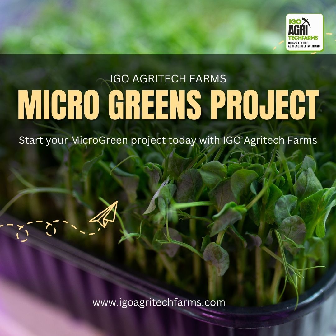 IGO Agri Techfarms | Chennai