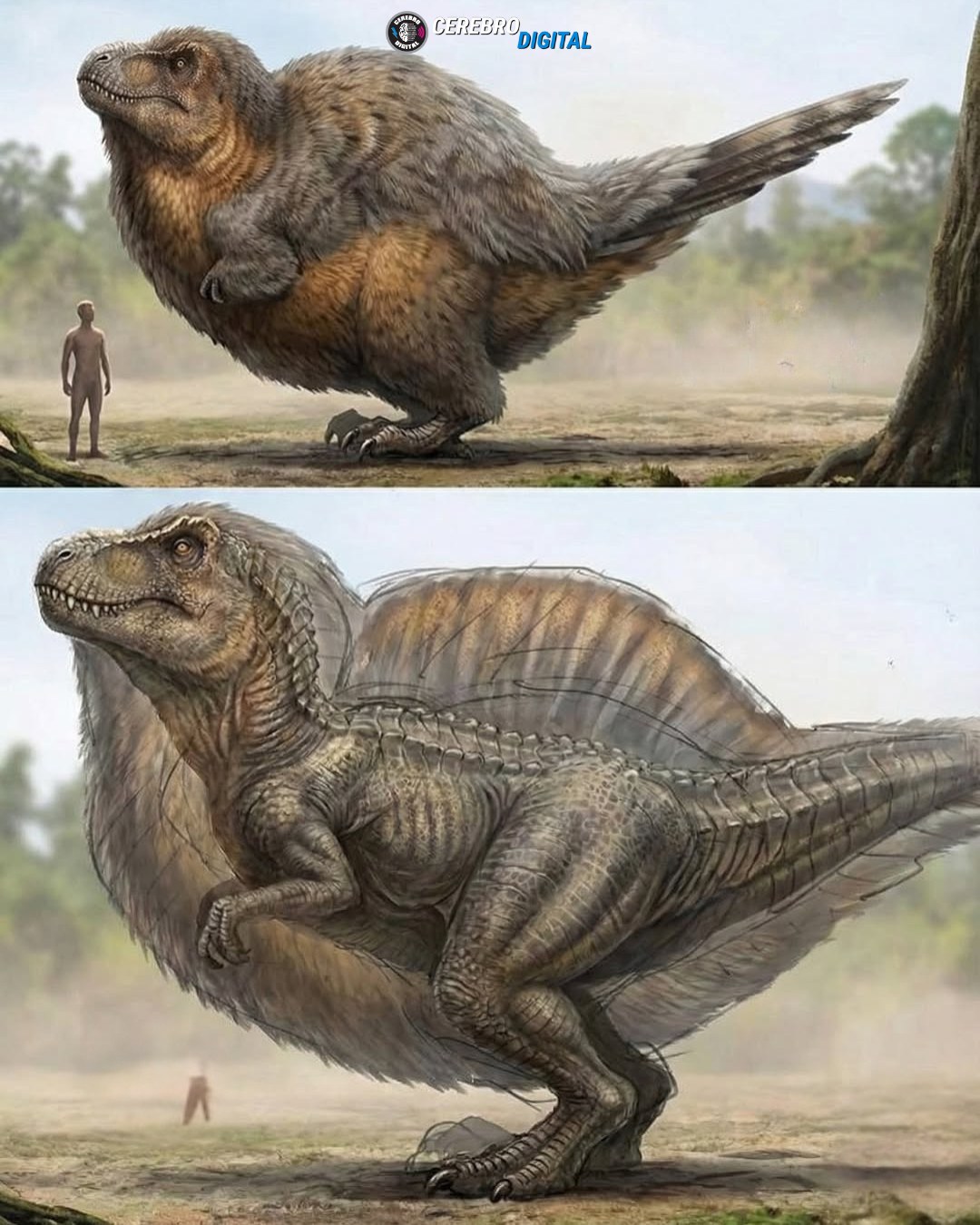 Cerebro - ¿Y si el temible T-Rex no fuera tan aterrador como lo ...