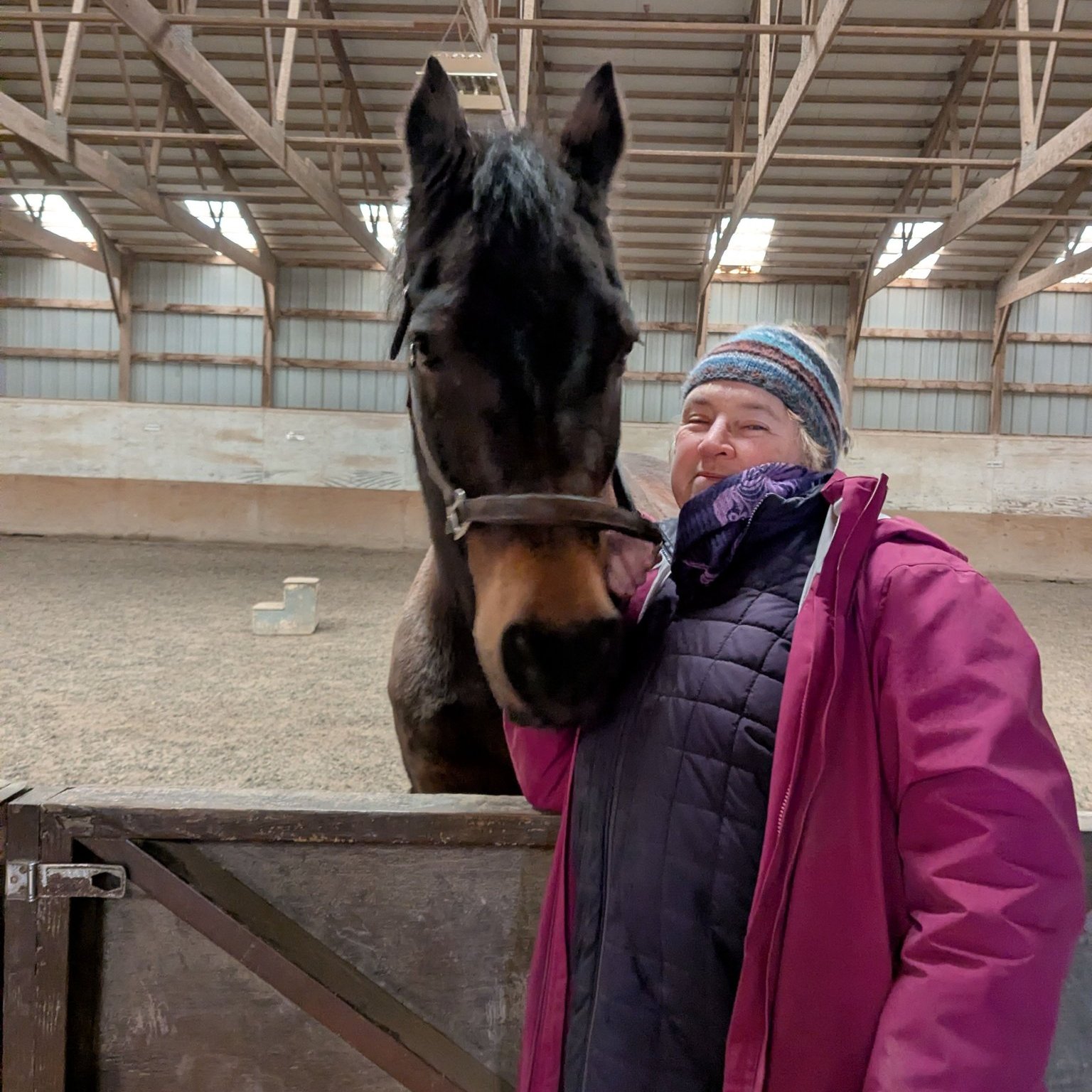 Dressage Horse Connection | ☀️ Sundance ☀️ | Facebook