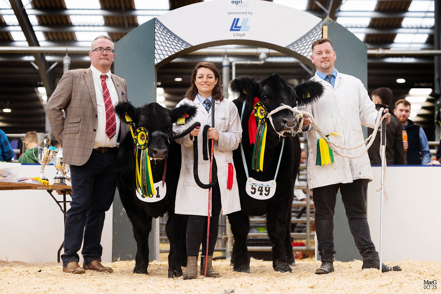 South West of England Aberdeen Angus Club - 🎉HERD WALK🎉 SUNDAY 18th ...