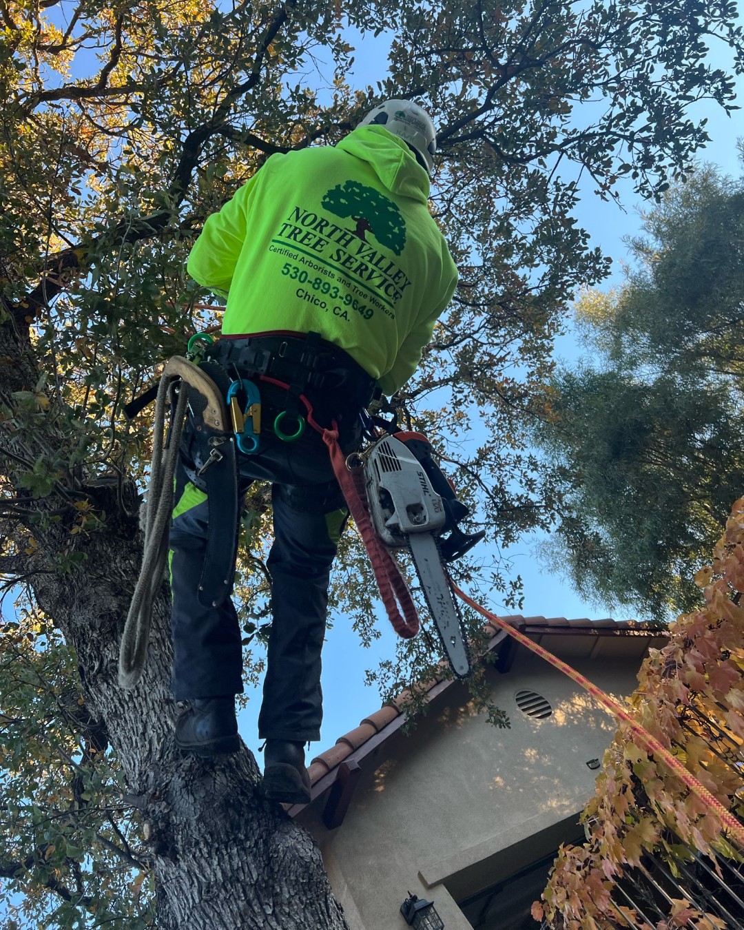 North Valley Tree Service | Chico CA