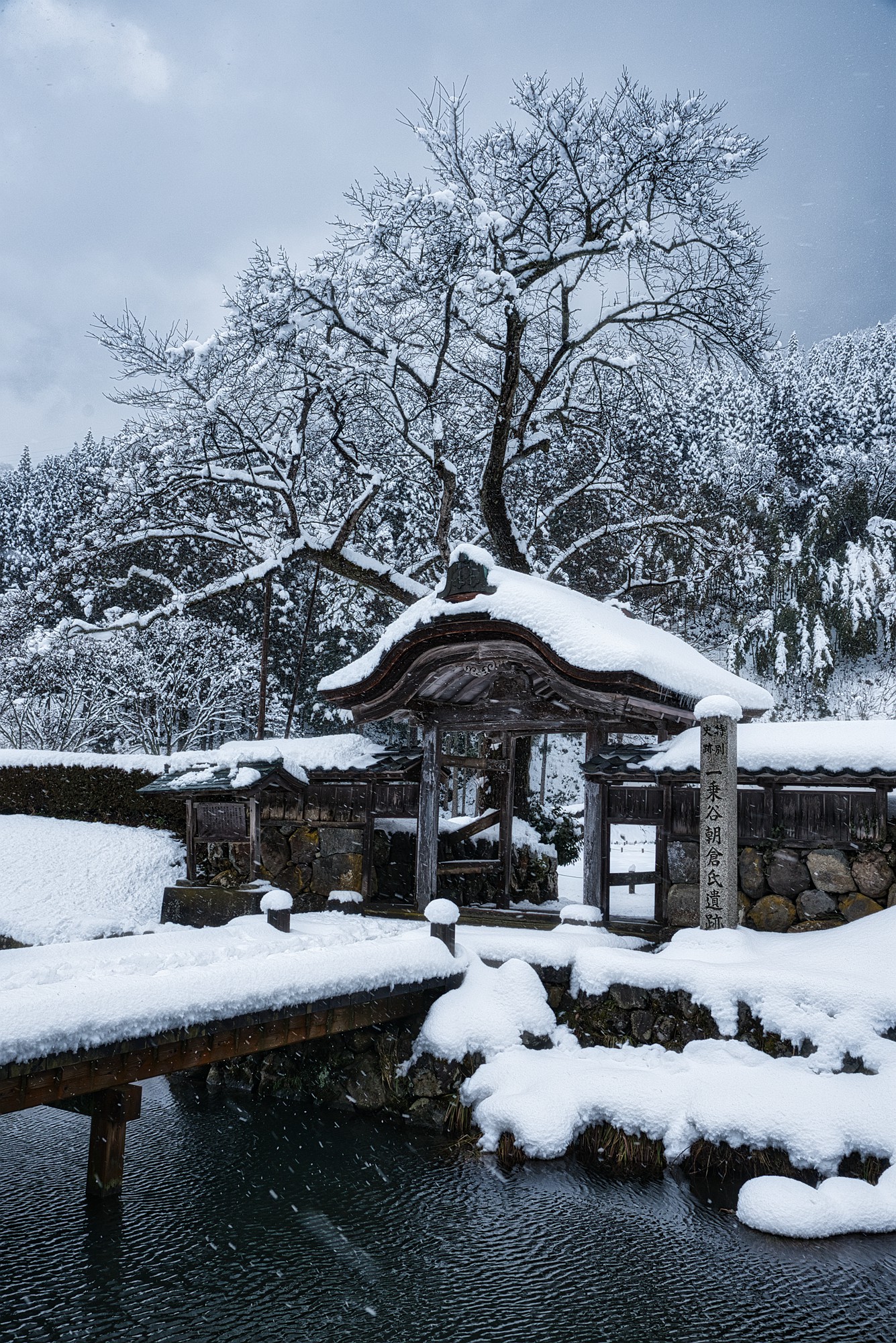 旅日攻城誌 - 【薬医門】 在棟門的鏡柱的後方連結兩條垂直的控柱，能夠令門更加穩固，其形式也就有如兩個冠木門前後並排，並在上方蓋上屋根。這個把 ...