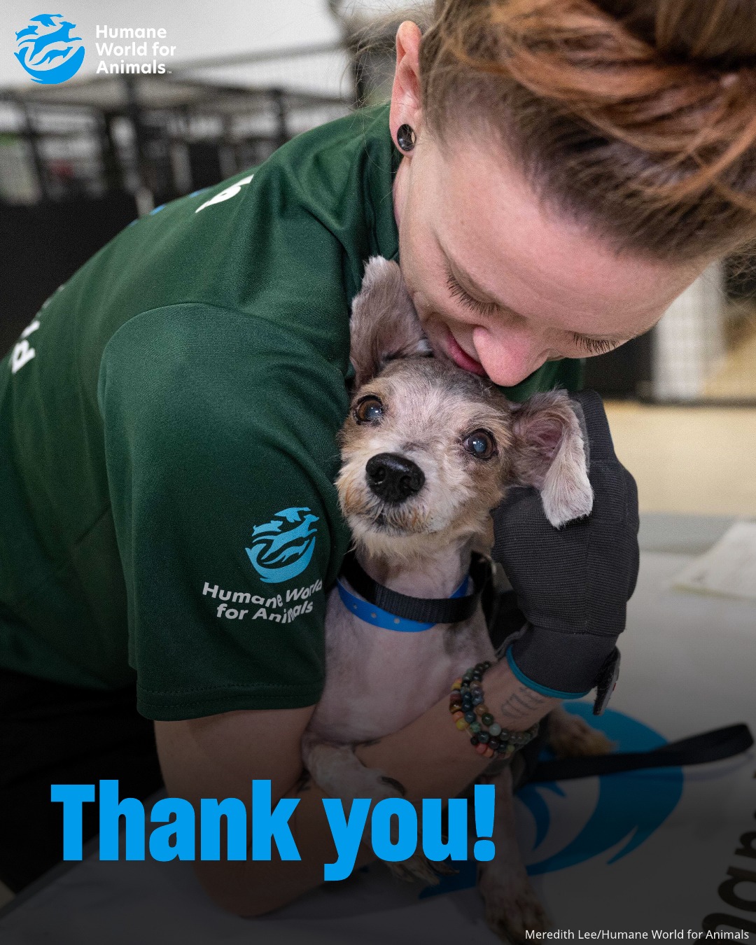 Humane World for Animals - Working to reduce the suffering of animals ...