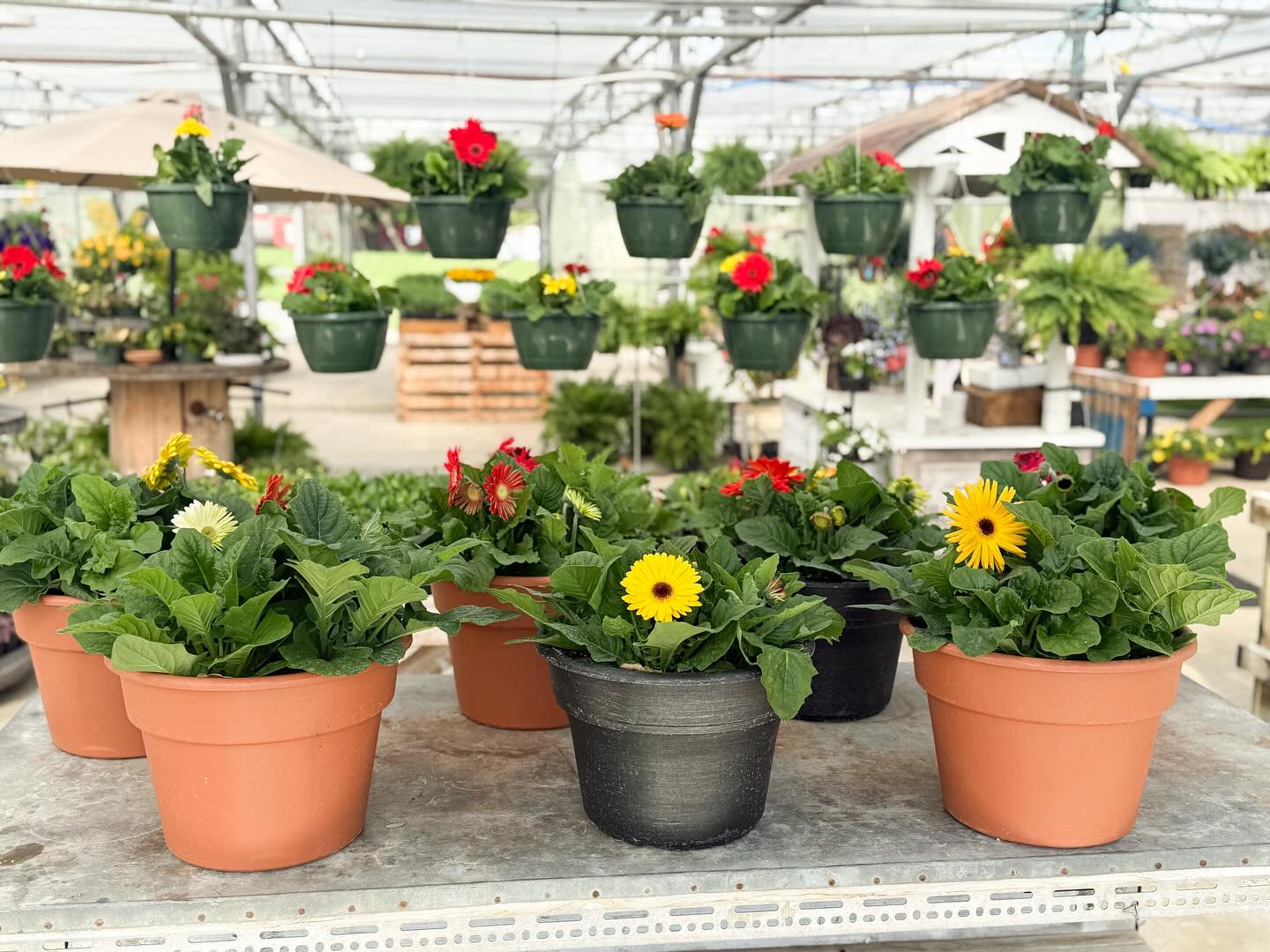 Redefined Roots Garden & Greenhouse