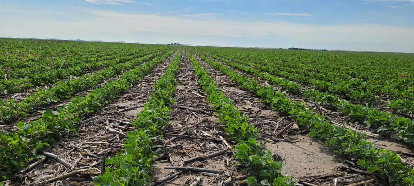 Thomas and Reed Farms, Inc. | Montezuma KS