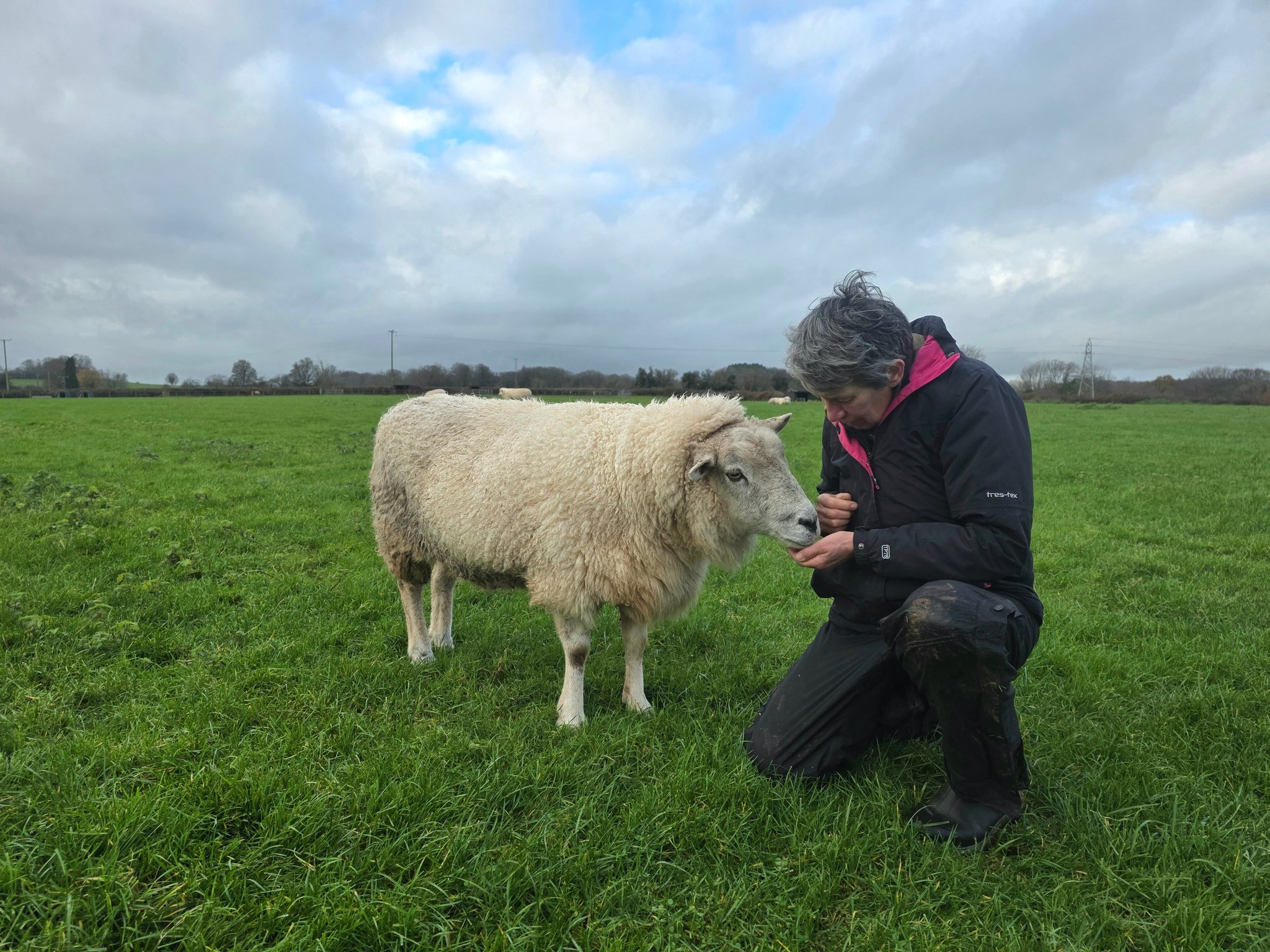 Dean Farm Trust - The Team Behind Our Sanctuary 💛 Behind... | Facebook