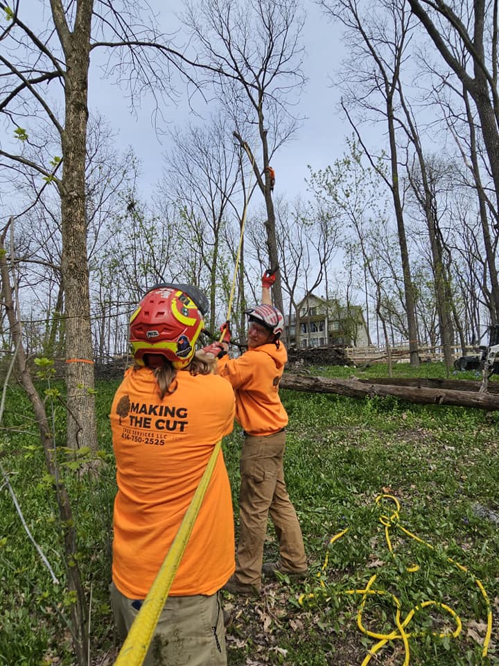 Making the Cut Tree Service - MTC TREE | Muskego WI