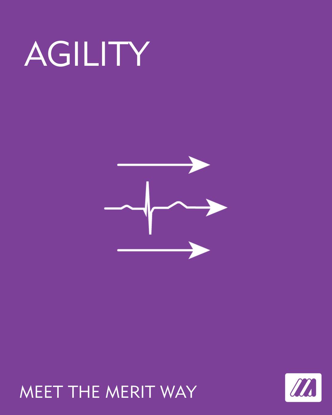 Merit Medical Systems | South Jordan UT
