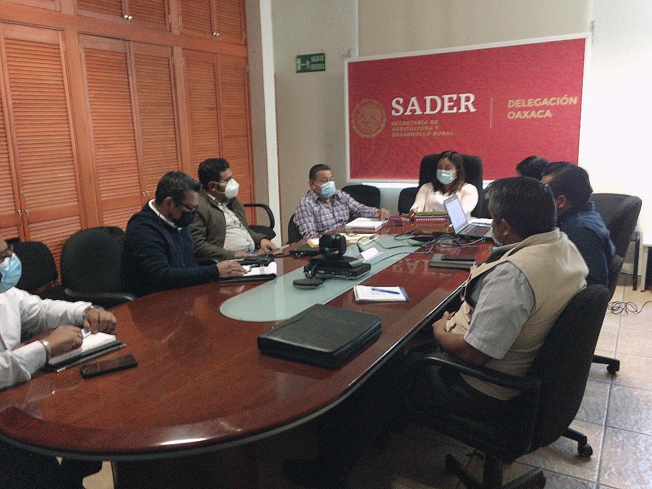 SADER OREF Oaxaca