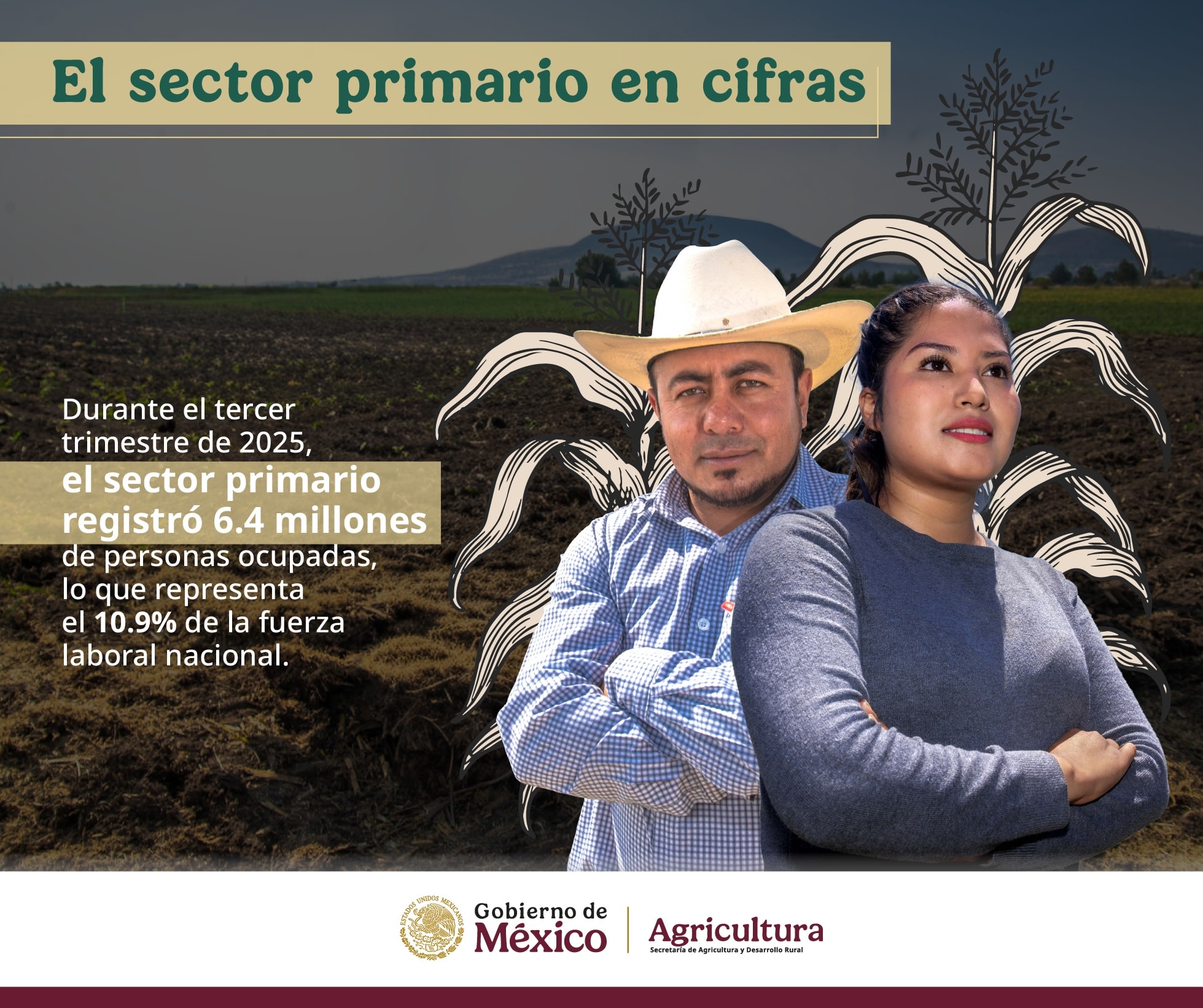 AgriculturaMex - Sabías que... El Senasica, en colaboración con ...