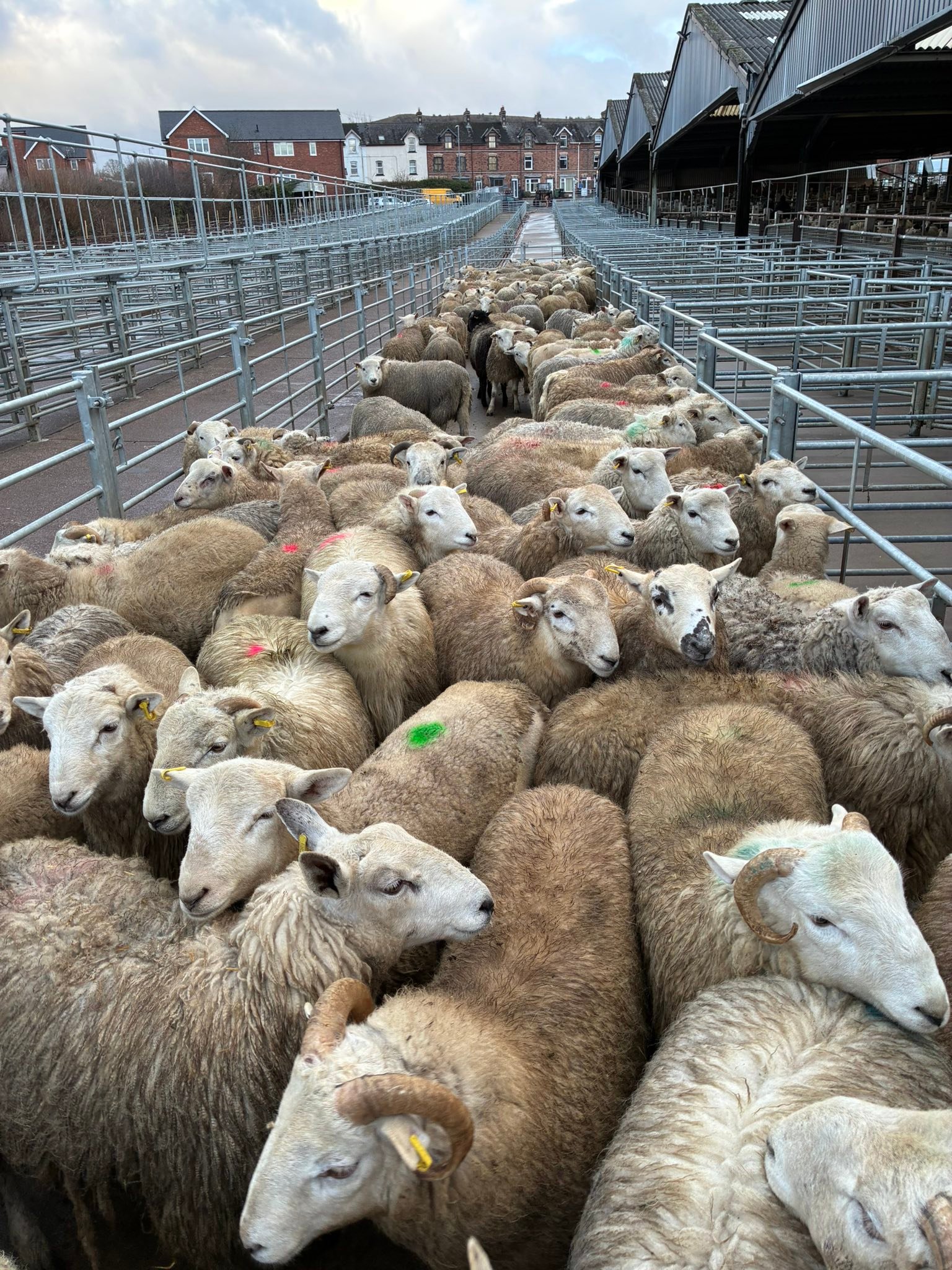 Builth Market Auctioneers | Builth Wells