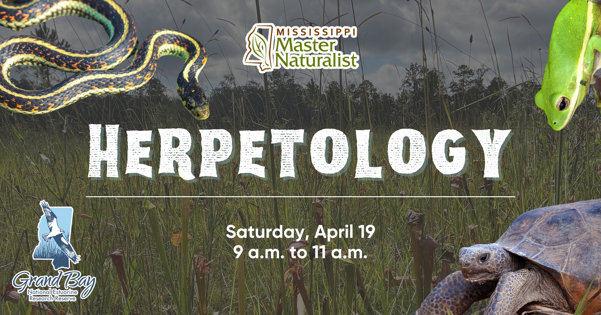 Herpetological Chapter Reference: Herpetology