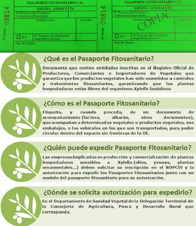 Pasaporte Fitosanitario Plante