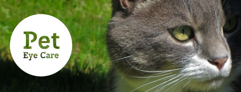 Pet Eye Care - New Zealand | Hamilton