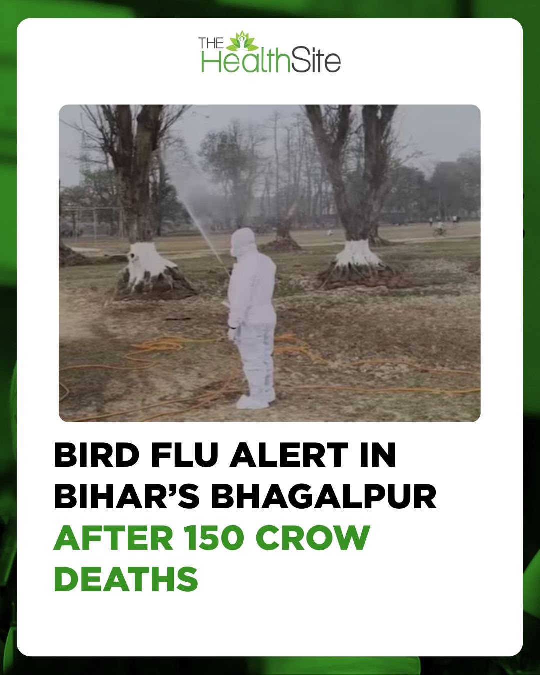 Bird flu has been confirmed in the... - Thehealthsite.com | Facebook