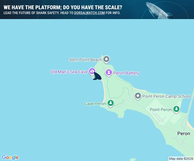 Dorsal - Official Shark Report: WA - DEEP WATER POINT. 06:15, 05 Feb 26 ...