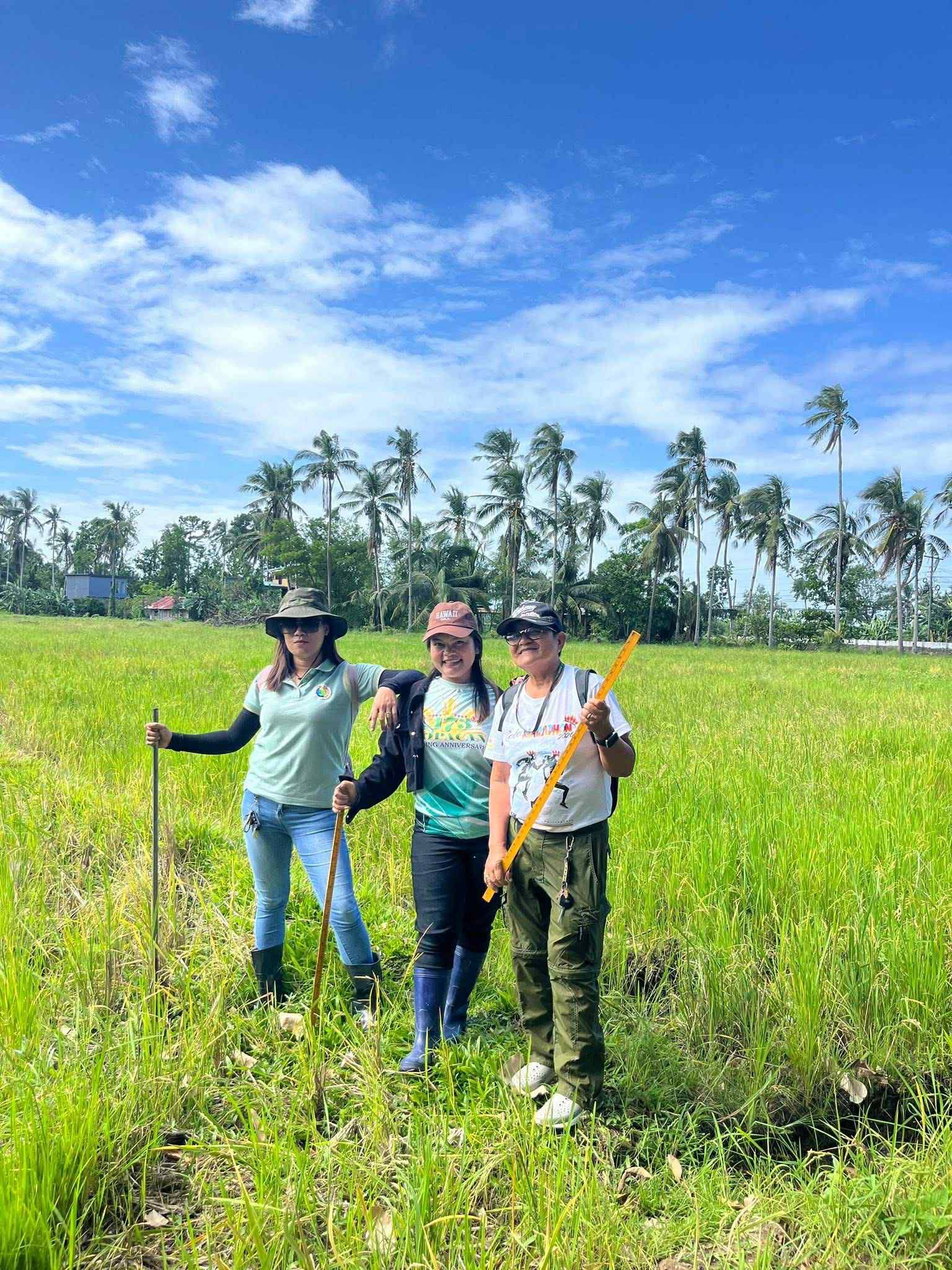 🌱 Soil Testing using Soil... - Municipality of Inopacan Leyte | Facebook
