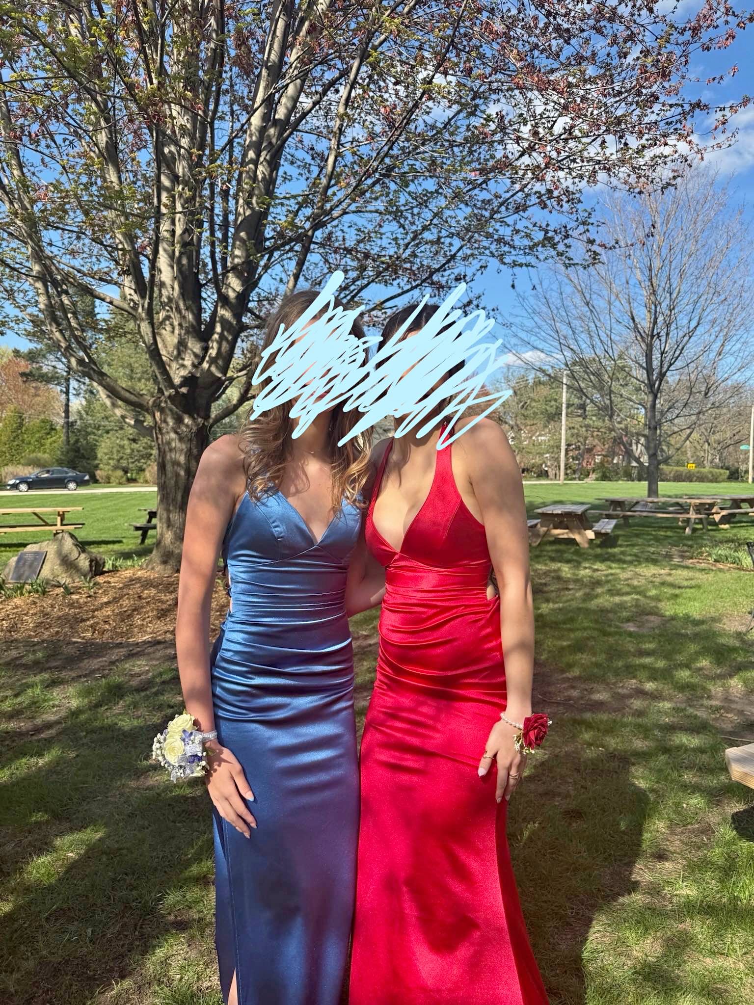 Prom Dress - Dresses - Crystal Lake, Illinois | Facebook Marketplace ...