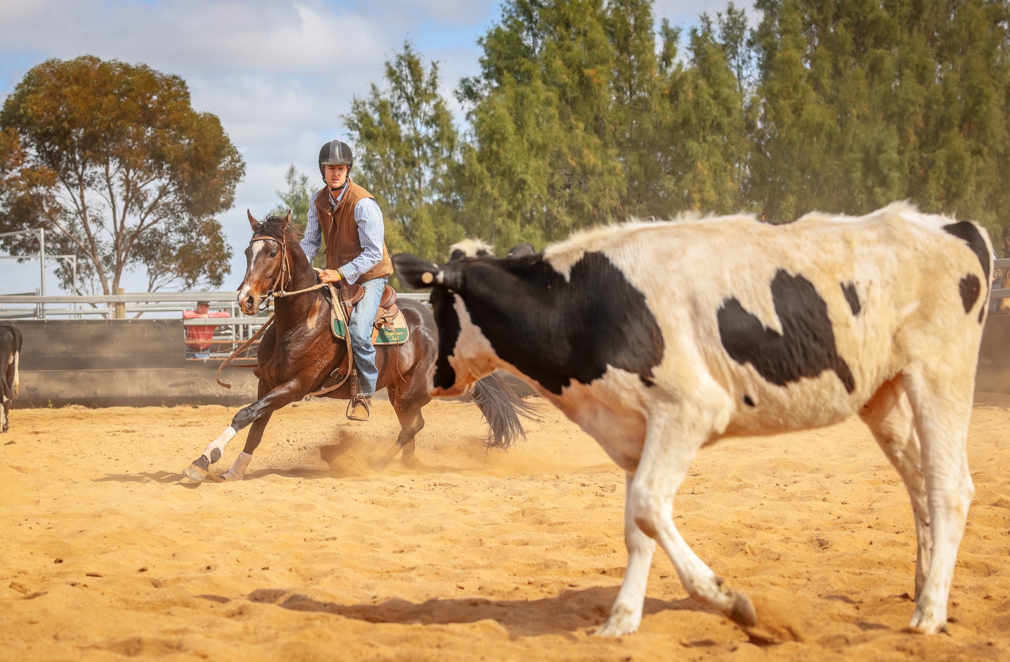 Swan Hill & District Campdraft Club Inc - 😍 UPDATED PROGRAM 😍 Please ...