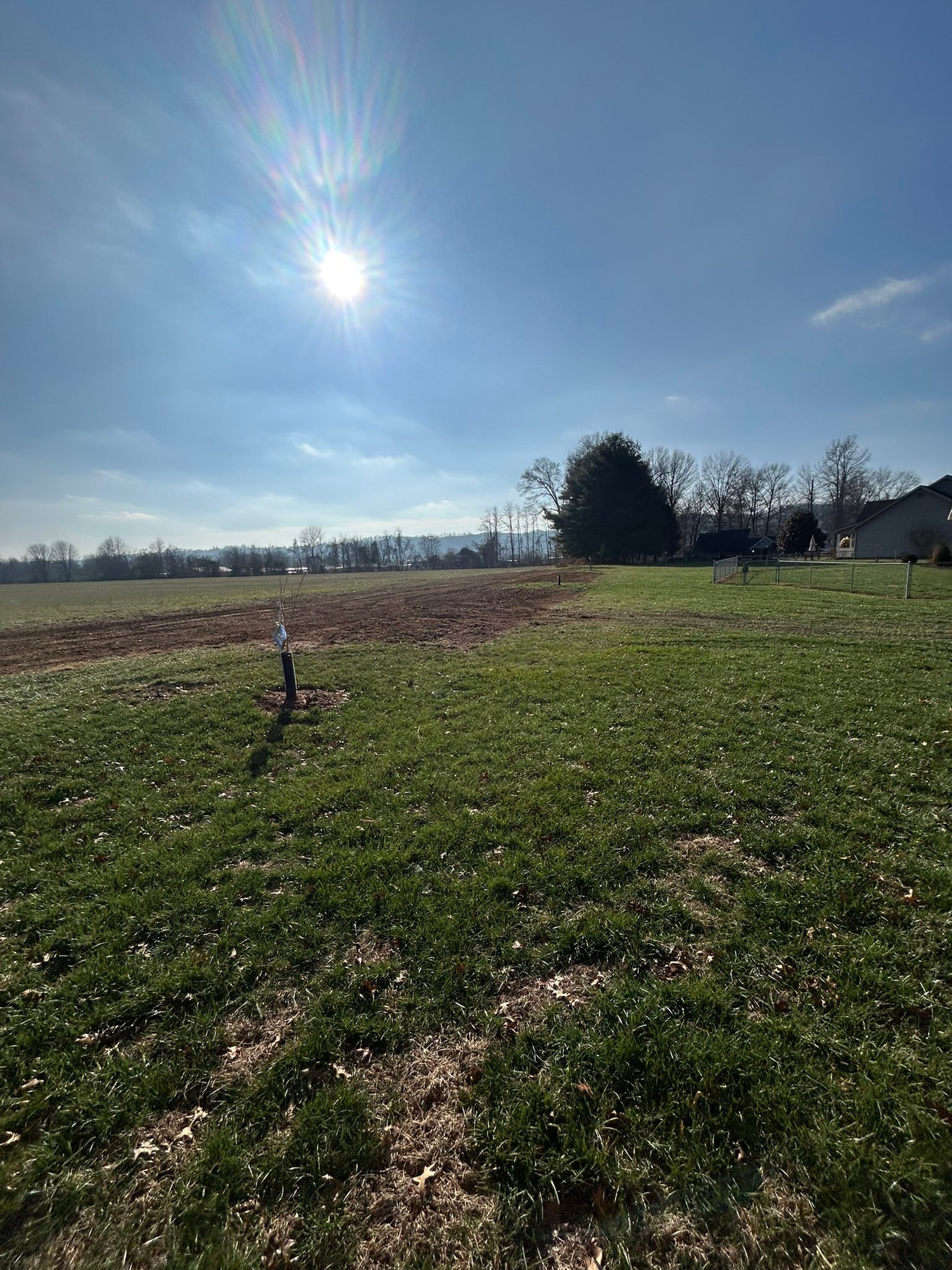 TNT Tree&Stump removal