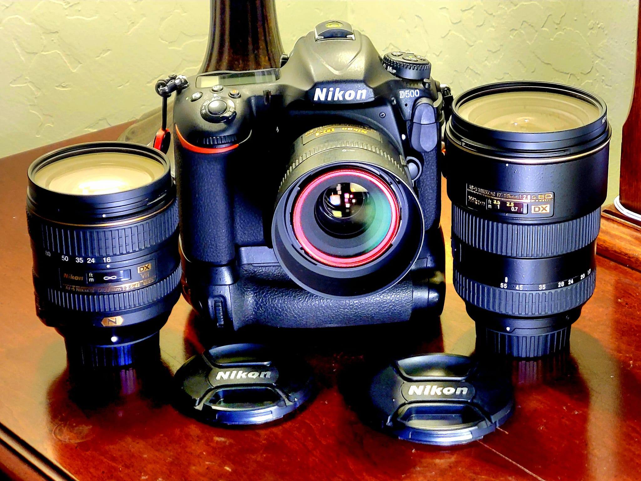 Nikon Z8 and D500 photos with 180-600mm and 200-500mm lenses