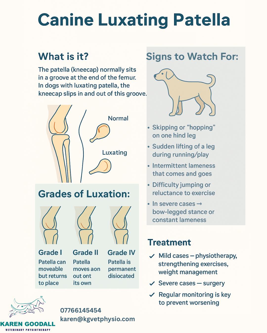 Karen - 🐾 Learn About Luxating Patella in Dogs 🦴 A luxating patella is ...