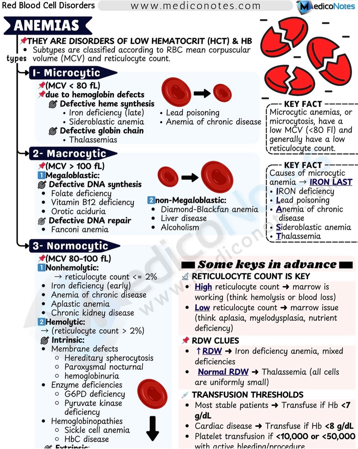 bpc 157 safety side effects human case reports Experts break down peptides, the latest wellness trend bpc-157 dosage healing peptide Digestion and Probiotics Variant:100mg
