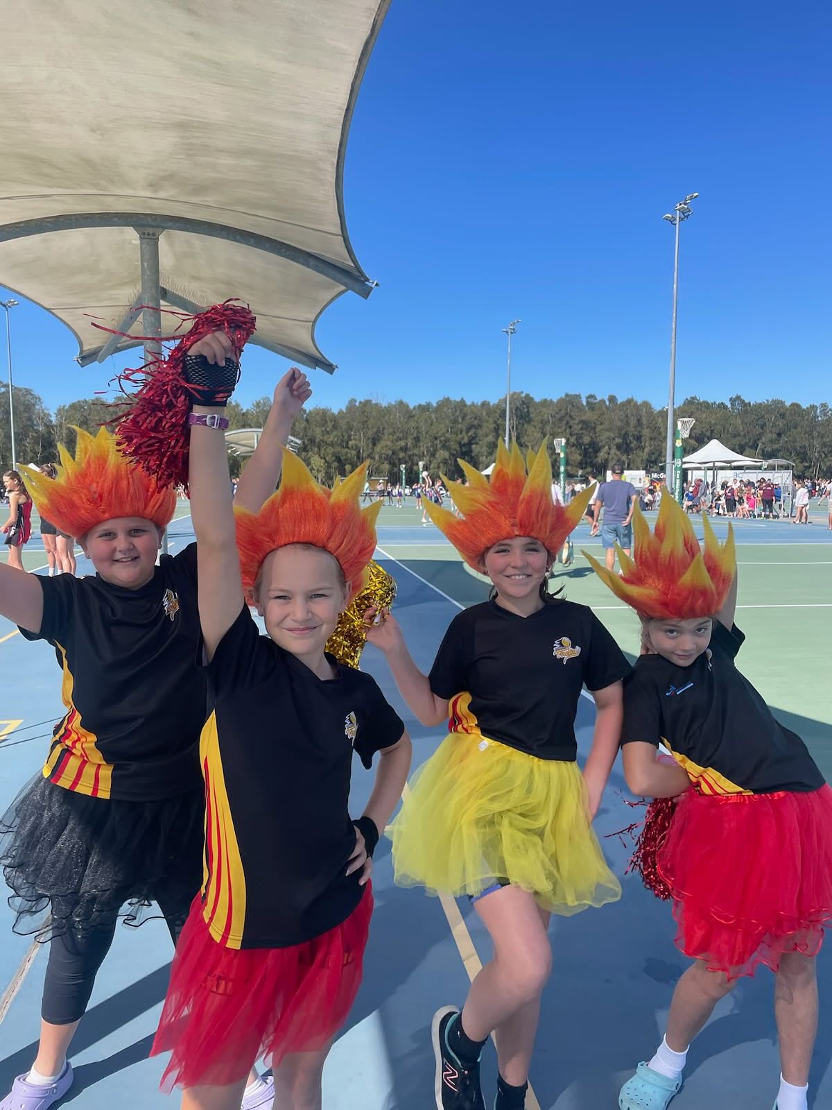 Buderim Firebirds... - Buderim Firebirds Netball Club Inc
