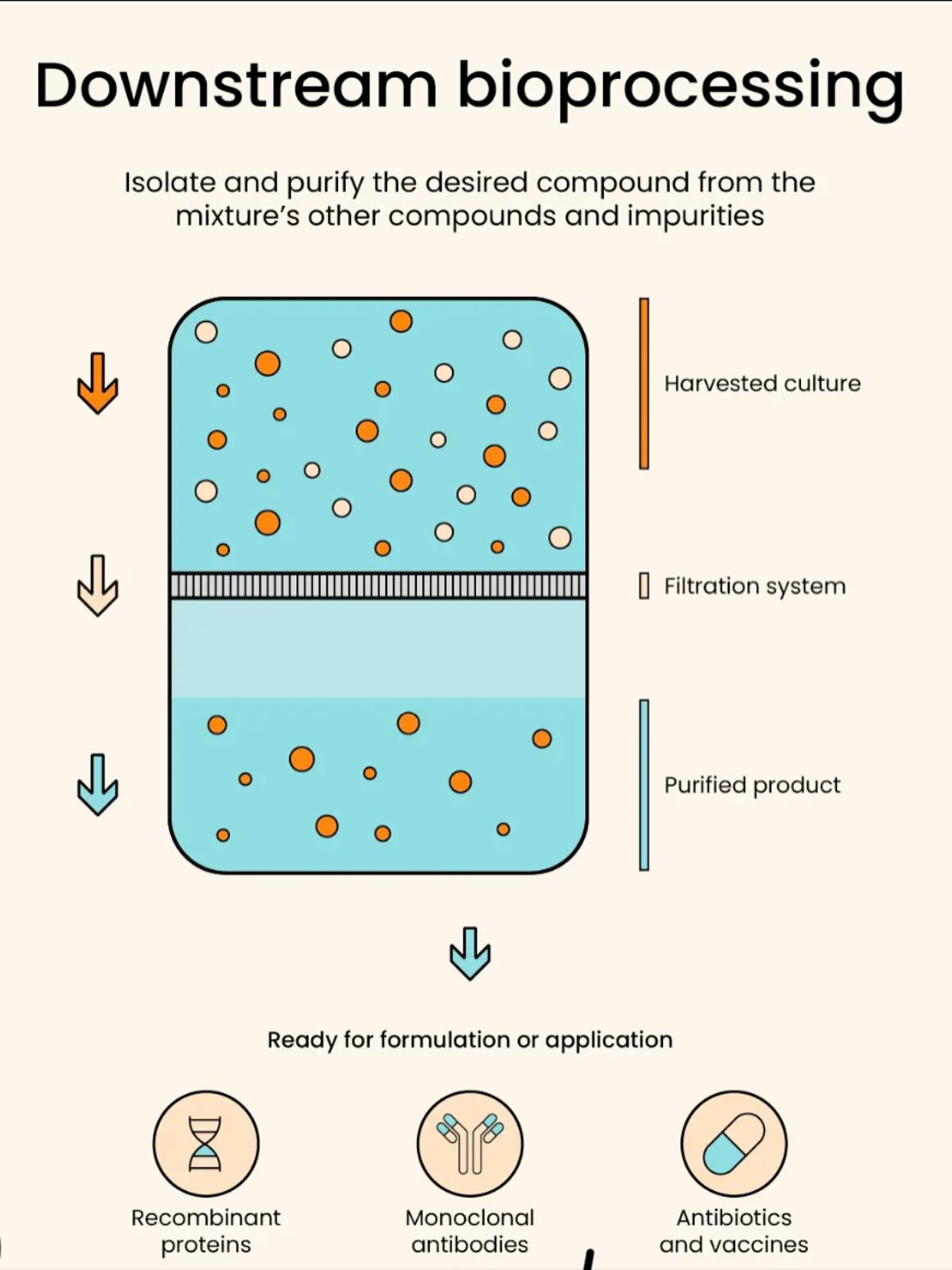 Lifegenbio - 🧪 Downstream Processing: From Biological Reaction to ...