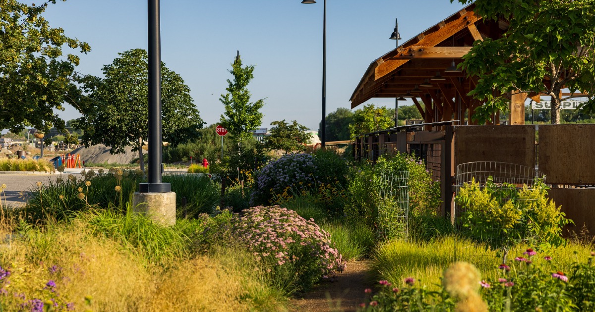 FFKR Architects - In addition to the primary goal of education, schools ...