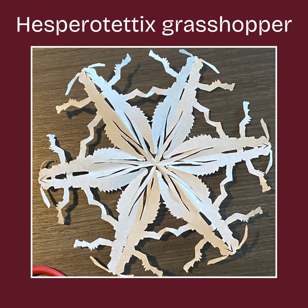 The snow that doesn't make you cold ️ Check out these insect inspired ...