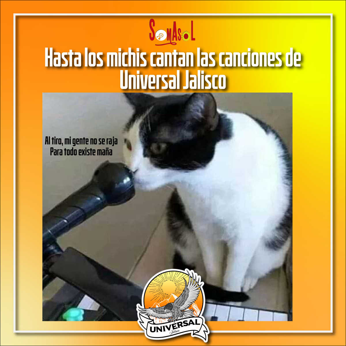 Universal Jalisco - Hasta a los michis les gusta cantar nuestras ...