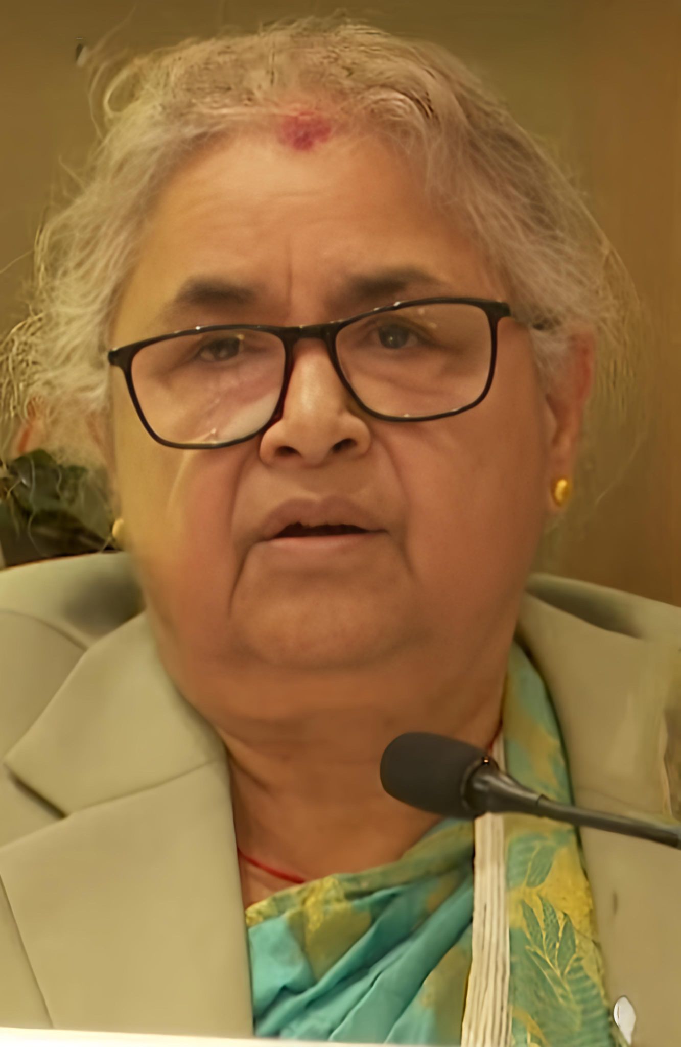 Nab Raj Bhatt