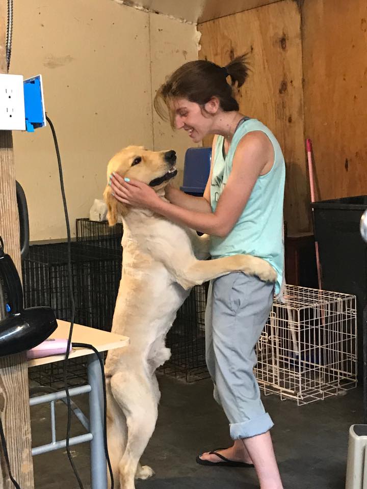 Cross Creek Pet Grooming Westport, Indiana Facebook