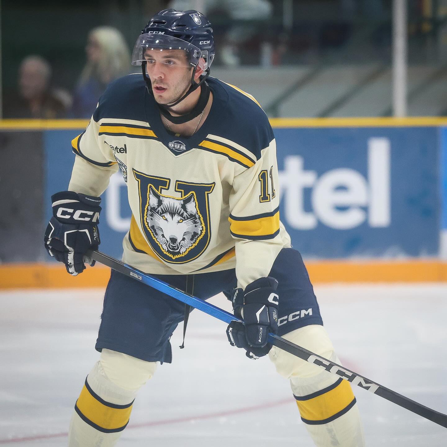 New threads.... - Lakehead University Thunderwolves Hockey | Facebook