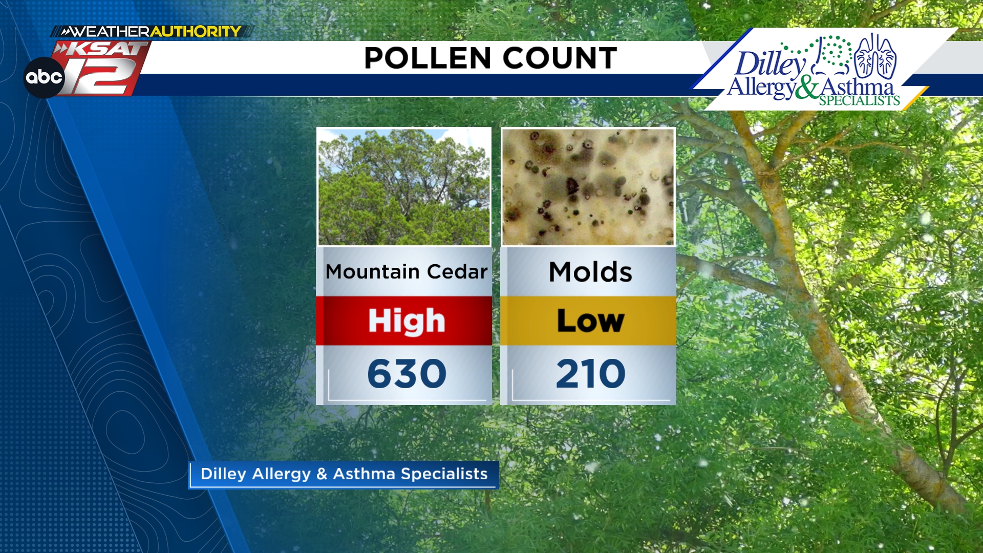 We've still got high levels of cedar... - KSAT 12 & KSAT.com | Facebook