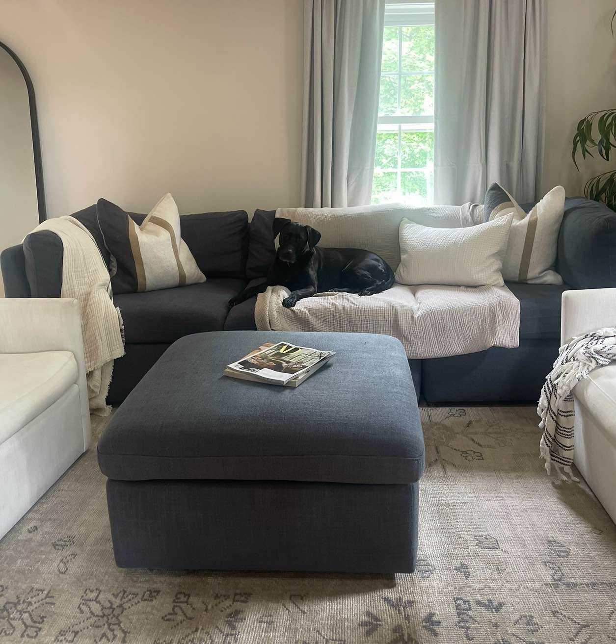 Modular Sofa - Sam’s Club - Sofas, Loveseats & Sectionals - Branchville ...