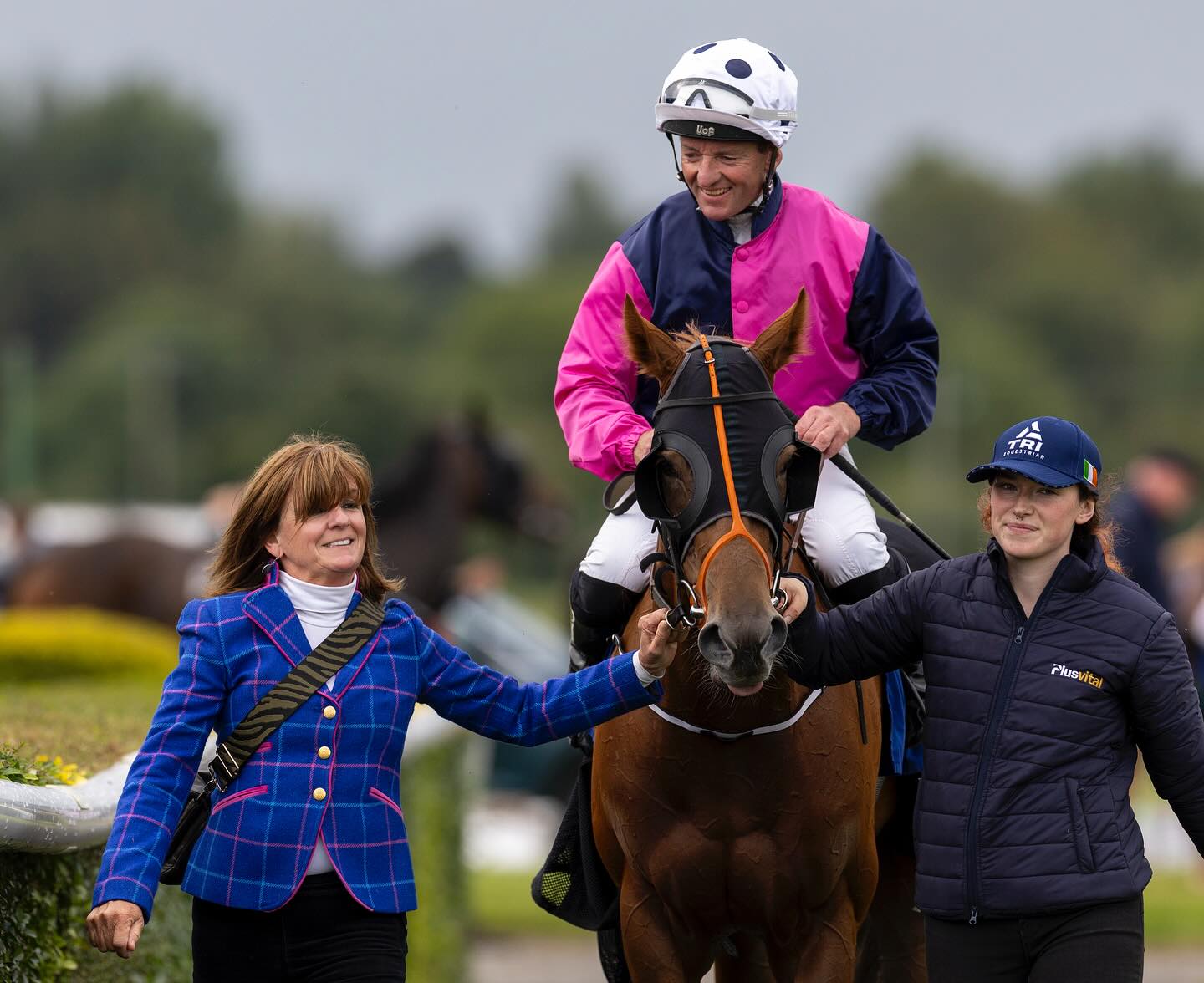 racehorse-ownership-horse-racing-ireland
