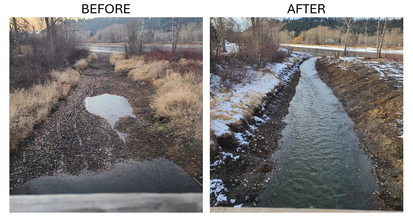 Spruce City Wildlife Association - As we went to release the fry in ...