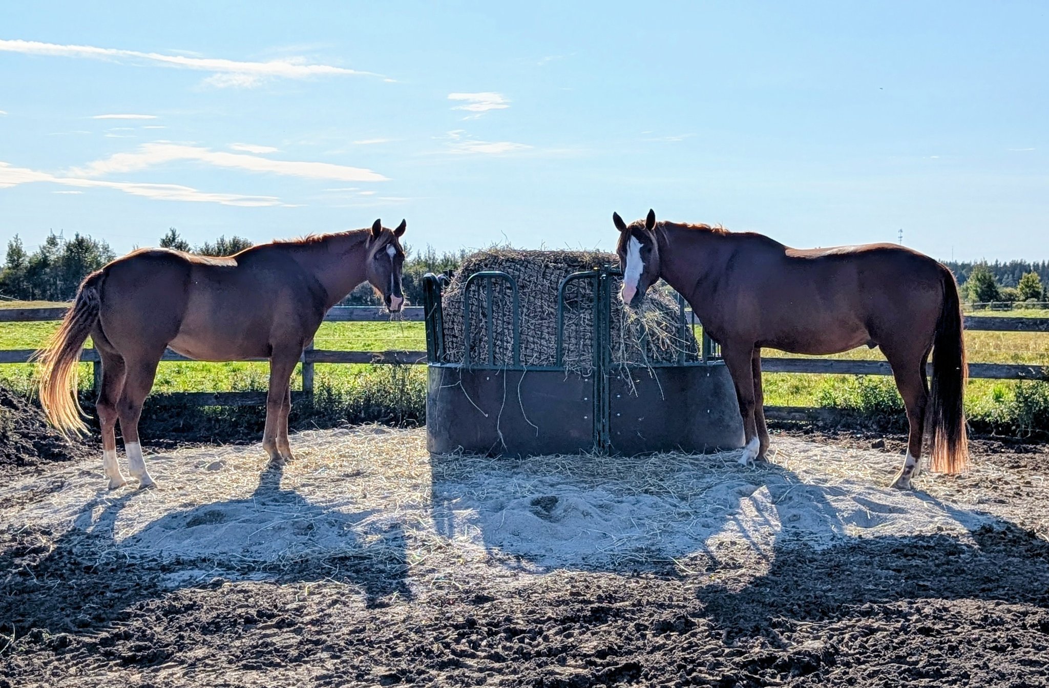 Pine Ridge Ranch | Greater Sudbury ON