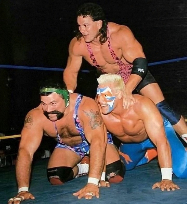 The Steiner Brothers and Sting