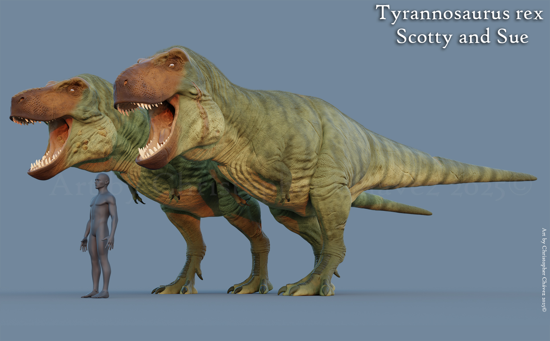 The two largest Tyrannosaurus... - Art by Christopher Chávez. | Facebook