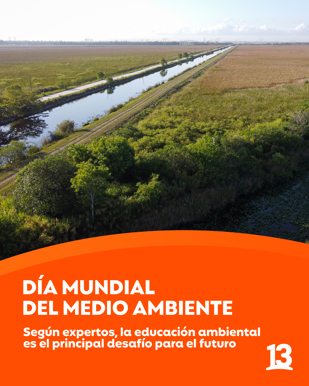 Canal - ¡Hoy es el Día Mundial del Medio Ambiente! Cada 5 de junio se ...