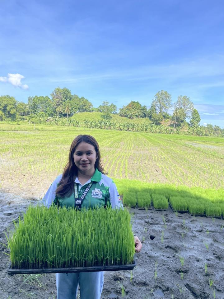 Guilcor - Good seedling preparation is key factor for your ...